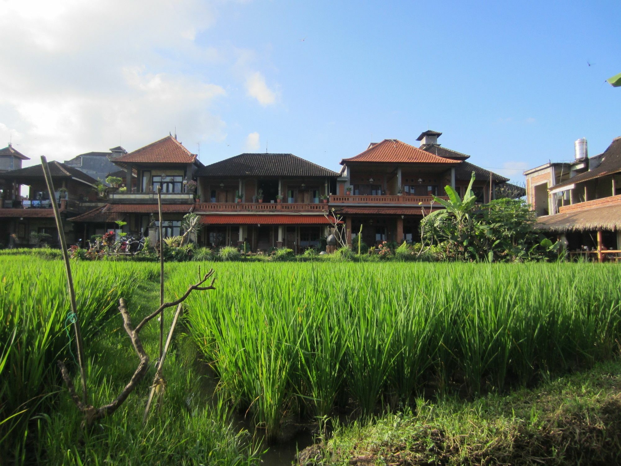 Danasari Homestay Ubud Buitenkant foto